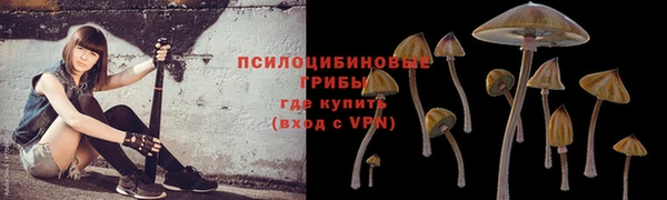 герыч Абаза