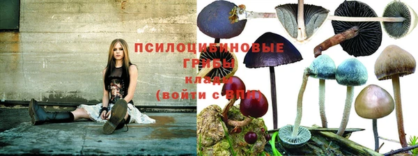 скорость Абинск