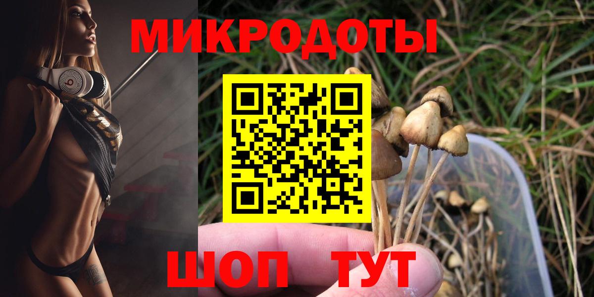 Галлюциногенные грибы Psilocybine cubensis  Вход с VPN  Благовещенск 