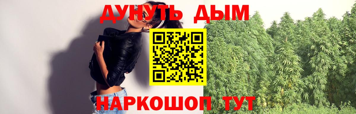 Каннабис индика Благовещенск